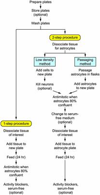 Autaptic Cultures: Methods and Applications